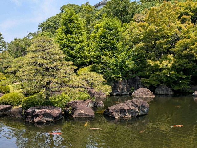 姬路 | 好古園 姬路城西御屋敷跡庭園
