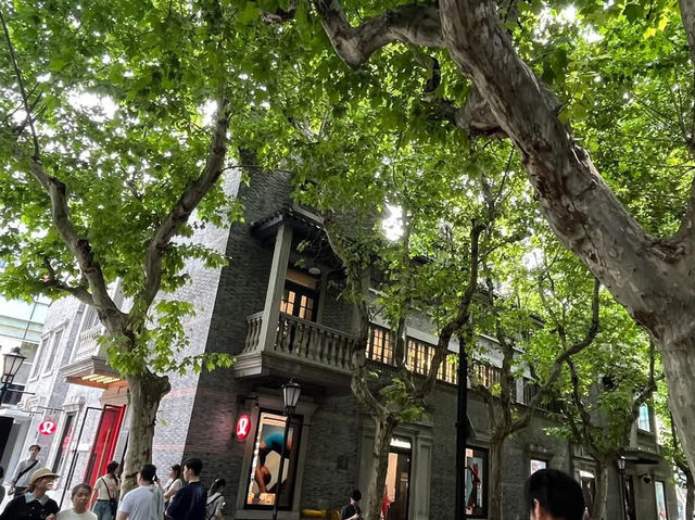  🏙️✨ A Tale of Two Quarters: Xintiandi & Tianzifang