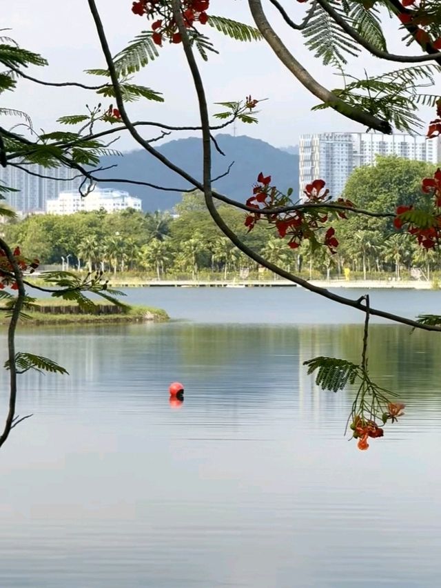 🌳🚣 Lake Titiwangsa Water Sports & Outdoor Fun – A Splashy Escape in KL!