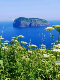 Ulleungdo, Main Character Energy