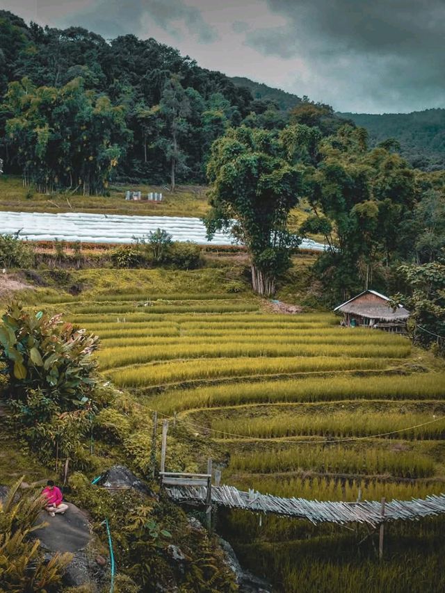 Giant Bamboo Hut เชียงใหม่