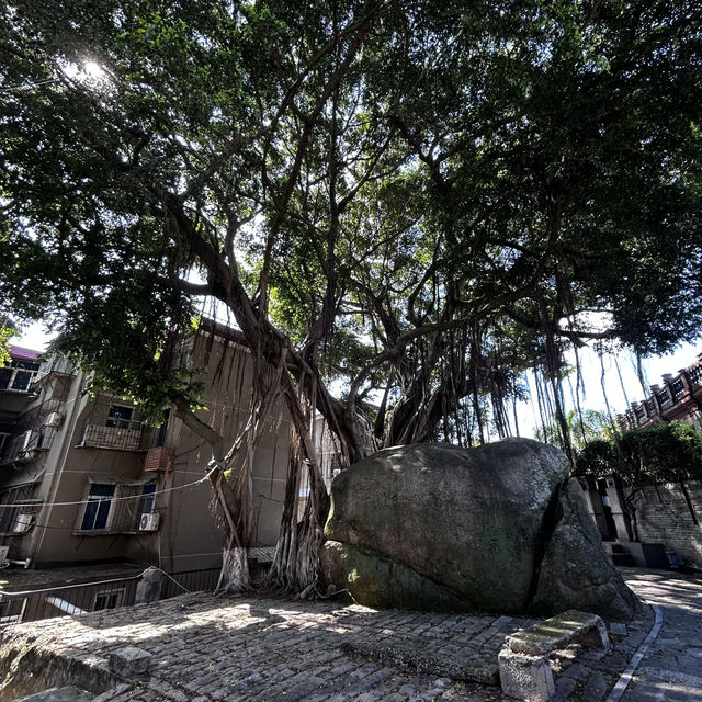 Gulangyu on a Budget: How to Conquer the ‘Piano Island’ Without Going Broke"** 🎹🏝️   