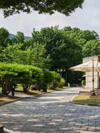 Seoul City Vibes in late June (Summer)