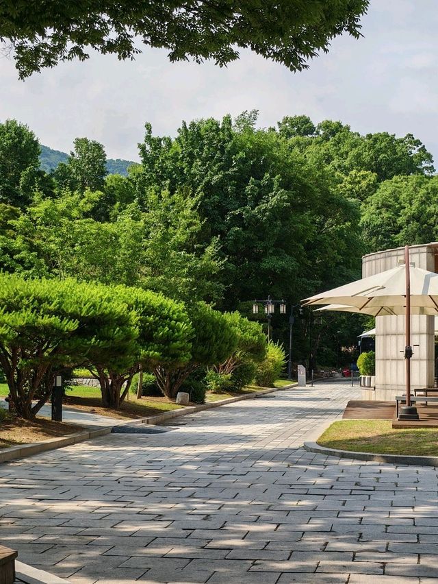 Seoul City Vibes in late June (Summer)