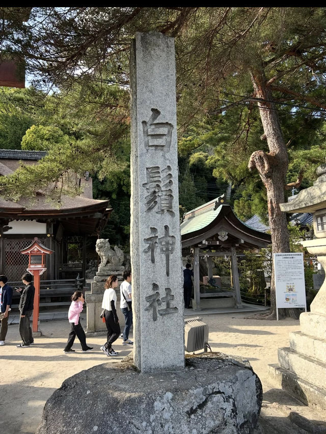 【琵琶湖に浮かぶ鳥居の絶景⛩️】白髭神社で神秘と癒しの旅✨