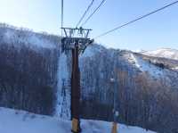 ❄️ Snowy Peaks & Scenic Treats: A Family Day Out at Hakuba Mountain Harbor