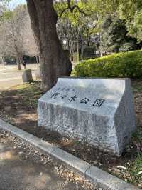 🇯🇵 Yoyogi Park 