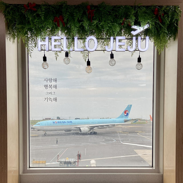 Island Vibes Already Begin at Jeju International Airport Island Vibes Already Begin at Jeju International Airport