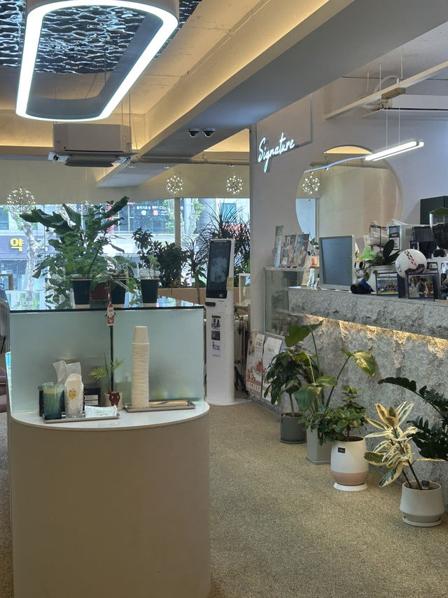 ☕ 도심 속 편안한 휴식, 그린브라우니 가경점