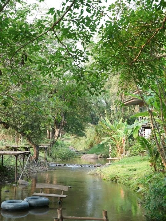 ฮ่มไม้ ฮิมห้วย ที่พักและร้านอาหาร