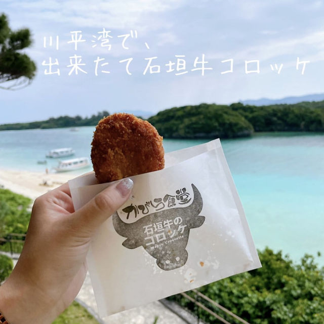 📸本当におすすめ！石垣島の映えスポットツアー🌺🐠