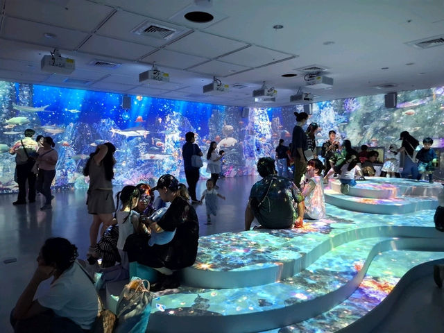 夢幻光影海底世界、南美海獅秀、打卡限定周邊一次滿足！