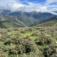 📍Kazila Mountain – A Dreamy Highland Pasture Above the Clouds