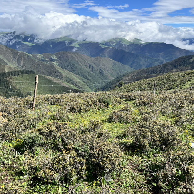 📍Kazila Mountain – A Dreamy Highland Pasture Above the Clouds
