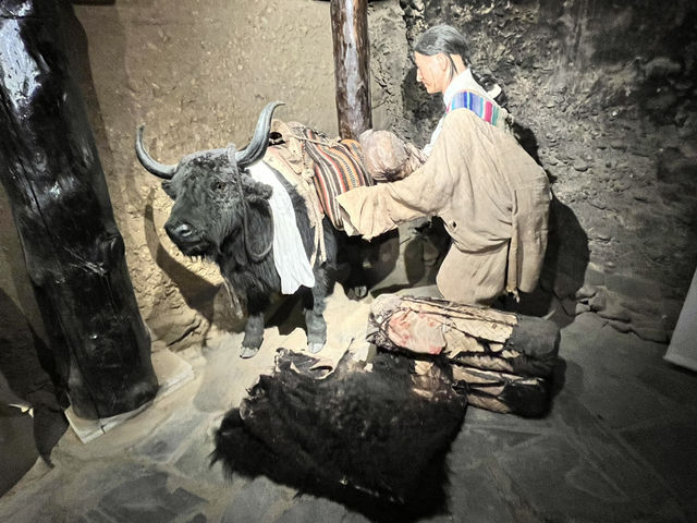 🏔️ Immerse in Tibetan Slow Life at 勒通古镇 (Letong Ancient Town), Litang