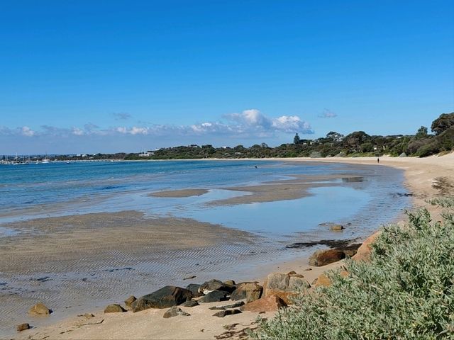 Cameron's Bight Boat Club：彩虹船与航海传奇