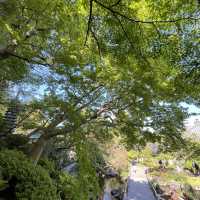 🗿🌿 The Great Buddha of Kamakura – Stillness in Bronze