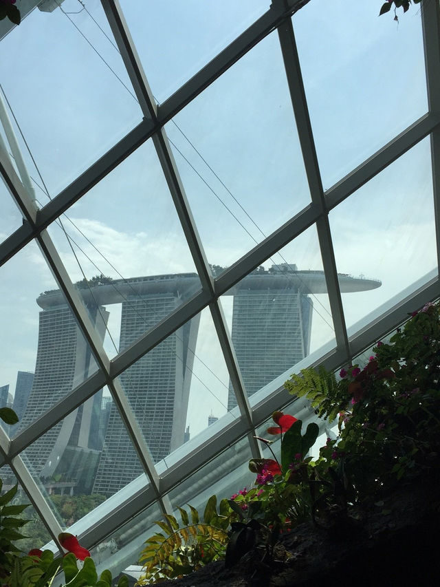 新加坡的室內植物園 Flower Dome