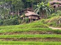 Pu Luong Nature Reserve (Thanh Hoa)