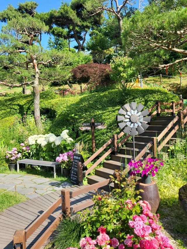 수국축제가 열리는 청주 민간정원