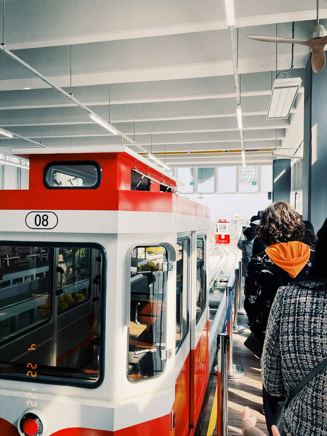 부산 바다 따라 달리는 열차🚃 해운대 해변열차 탑승기