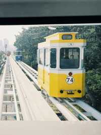 부산 바다 따라 달리는 열차🚃 해운대 해변열차 탑승기