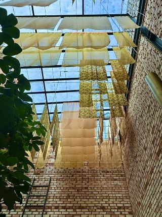 Tapestry，秋吉 — 吉隆坡市中心充滿夏日氛圍的早午餐