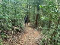 🏞 Gunung Lambak: Conquered the Jungle Beast!