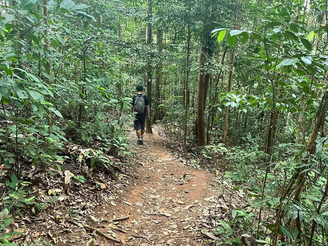 🏞 Gunung Lambak: Conquered the Jungle Beast!
