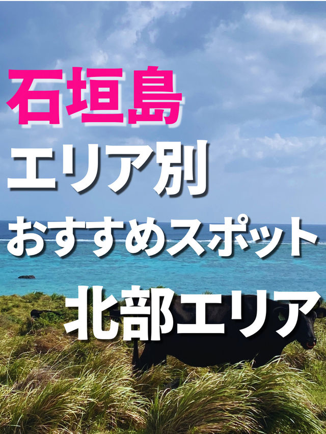 【石垣島】島観光！🏝️北部エリアスポット5選🐄🌴