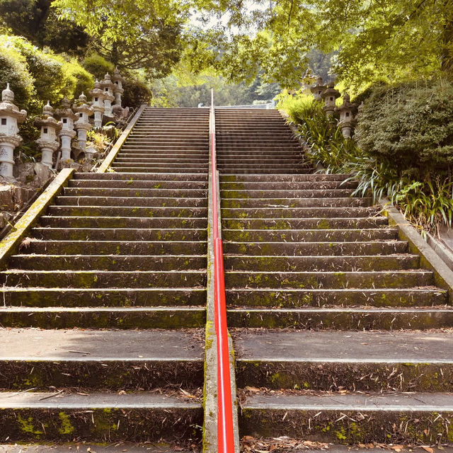 🌋 Solo Adventure: Kyushu – Japan’s Volcanic Wonderland (Summer Edition)