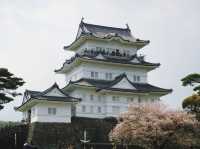 Odawara castle 