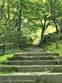 Kyoto’s Quiet Corner: Jojakko-ji Reflections