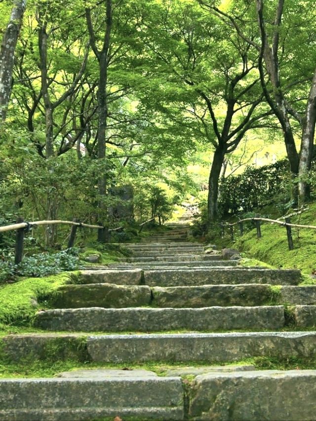 Kyoto’s Quiet Corner: Jojakko-ji Reflections
