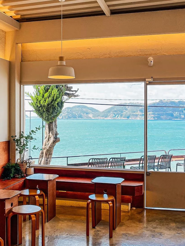 🇰🇷 Busan Hidden Gem: Seaside Café You Must Visit!