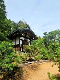 Kyoto’s Quiet Corner: Jojakko-ji Reflections