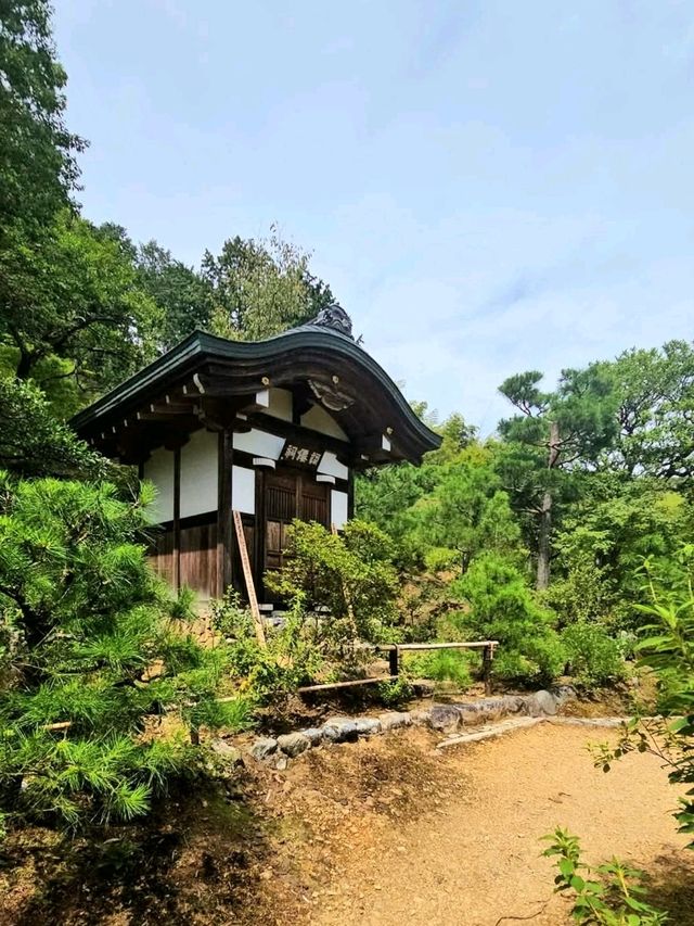 Kyoto’s Quiet Corner: Jojakko-ji Reflections