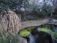 🪴The Beautiful Garden🪴