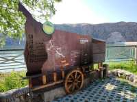 Return Boat Trip: Kurtai Dock to Kushtay Dock