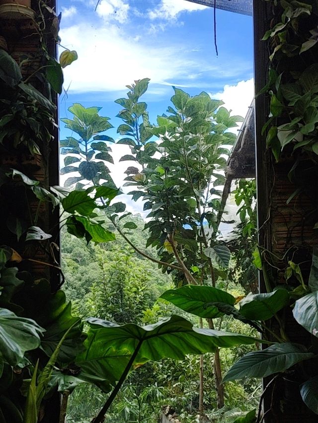 ร้านกาแฟ ,Akipu Coffee 