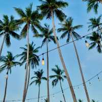 Waves of Wonder and Island Ease