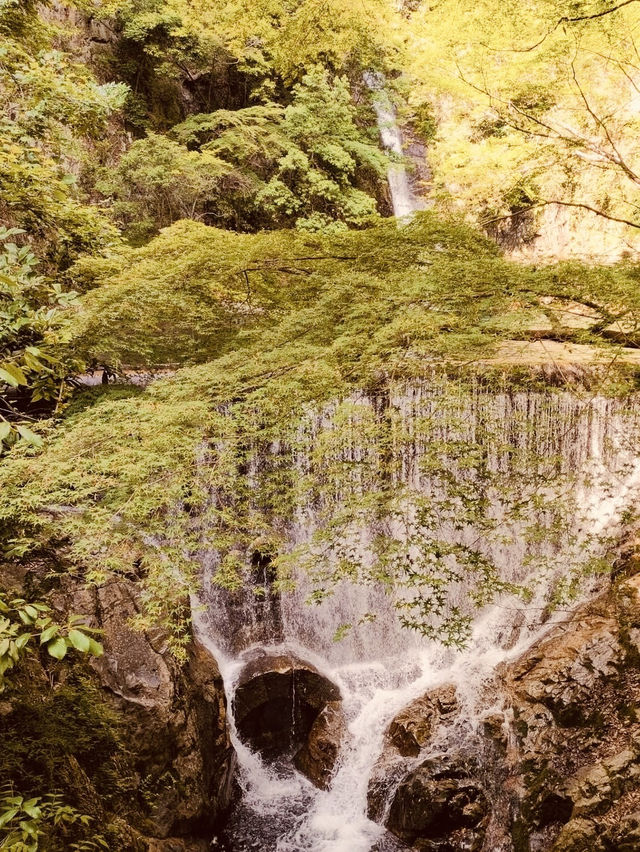 Nunobiki Falls (布引の滝) – Kobe’s Hidden Natural Oasis** 🌿💦