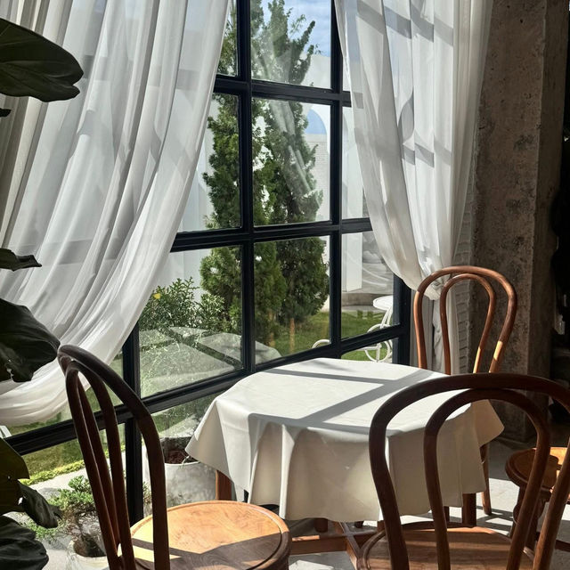 Truth Coffee&Poshtel 