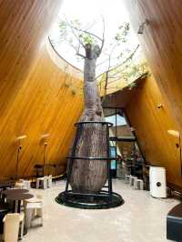 Harudot Chonburi by Nana Coffee Roasters