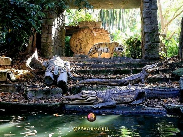 Jungle River Cruise