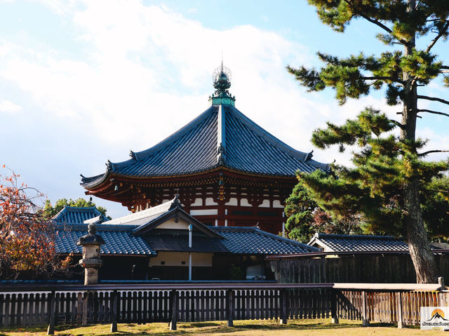 Kofukuji Temple รีวิว