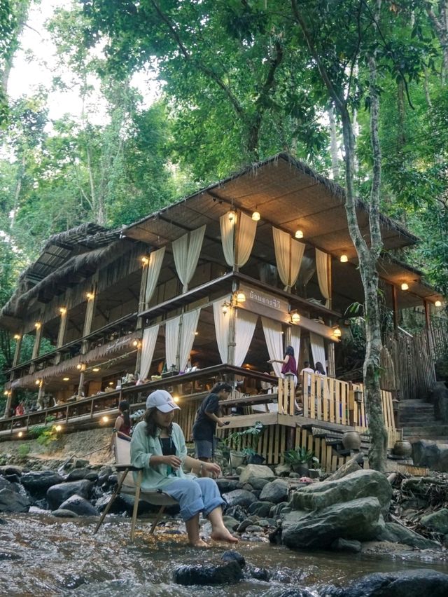 📍บ้านธารชีวี (Baan Tarnchevee) @เชียงดาว