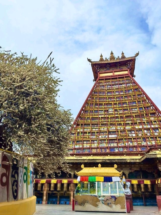 Pure Energy at Jokhang Temple