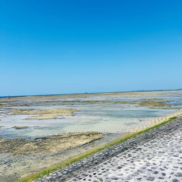Beyond the Shops: Sea View at Parco City 🌊