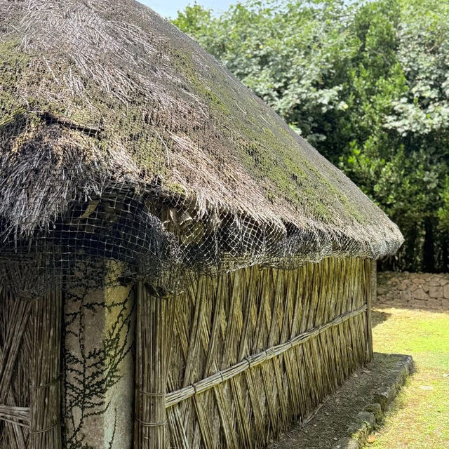 🌿 "Step Back in Time at Okinawa World’s Native Village: A Cultural Adventure!